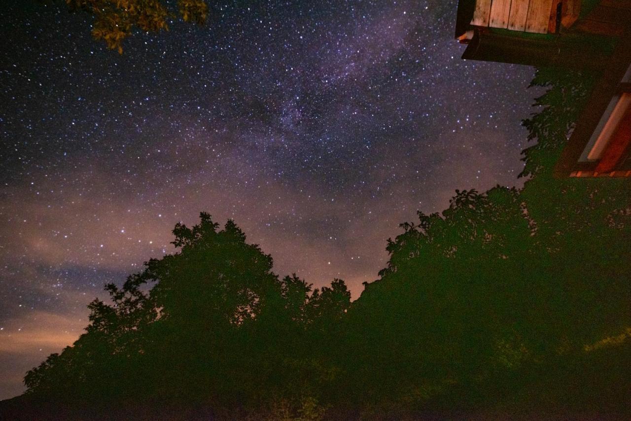 Miha Lodge - Mihcevo Plece Soča エクステリア 写真