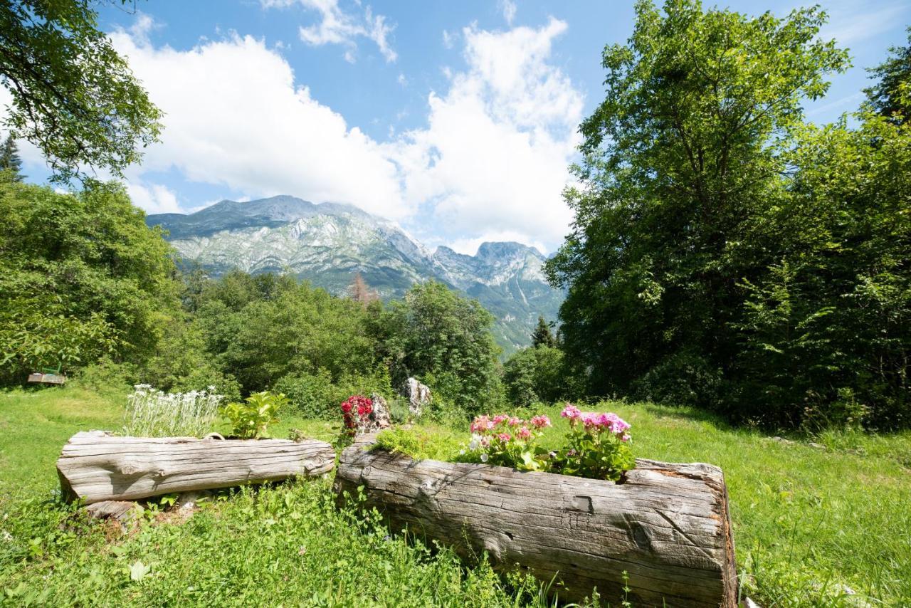 Miha Lodge - Mihcevo Plece Soča エクステリア 写真